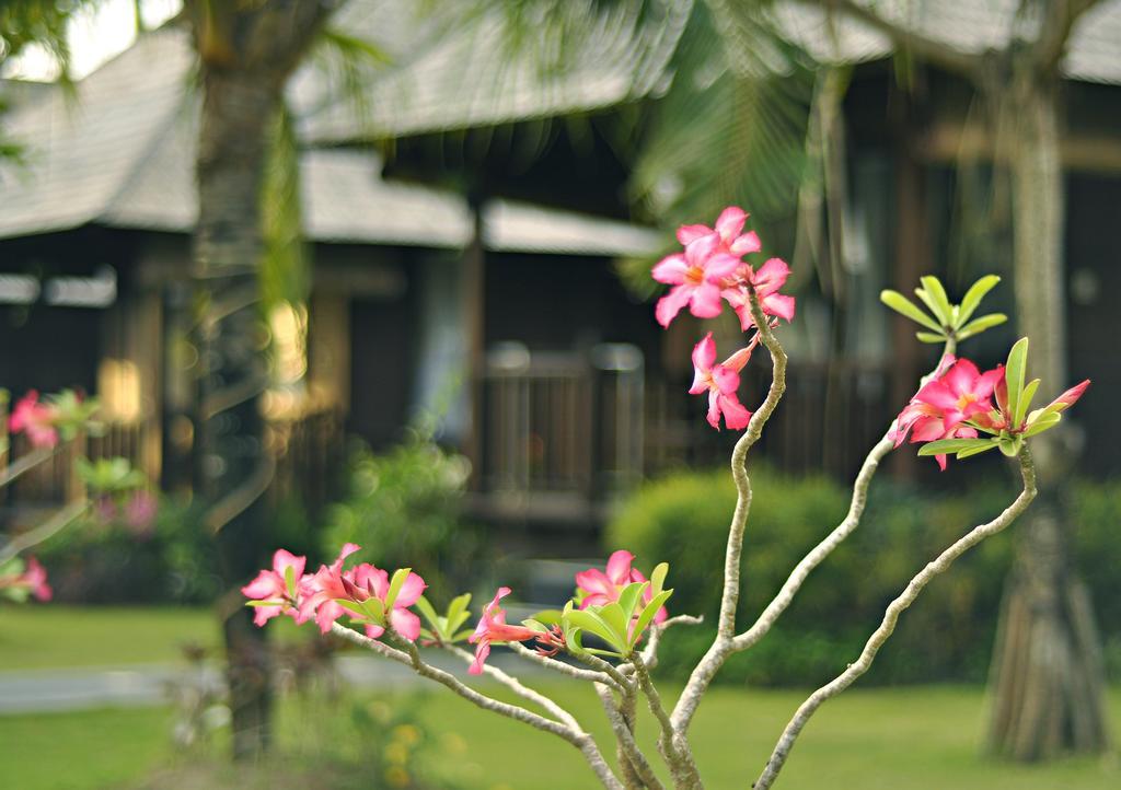 Aman Gati Balangan Hotel Pecatu Buitenkant foto